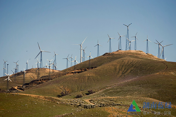 湖南藍(lán)綠承接風(fēng)電場建設(shè)項目咨詢總包服務(wù)